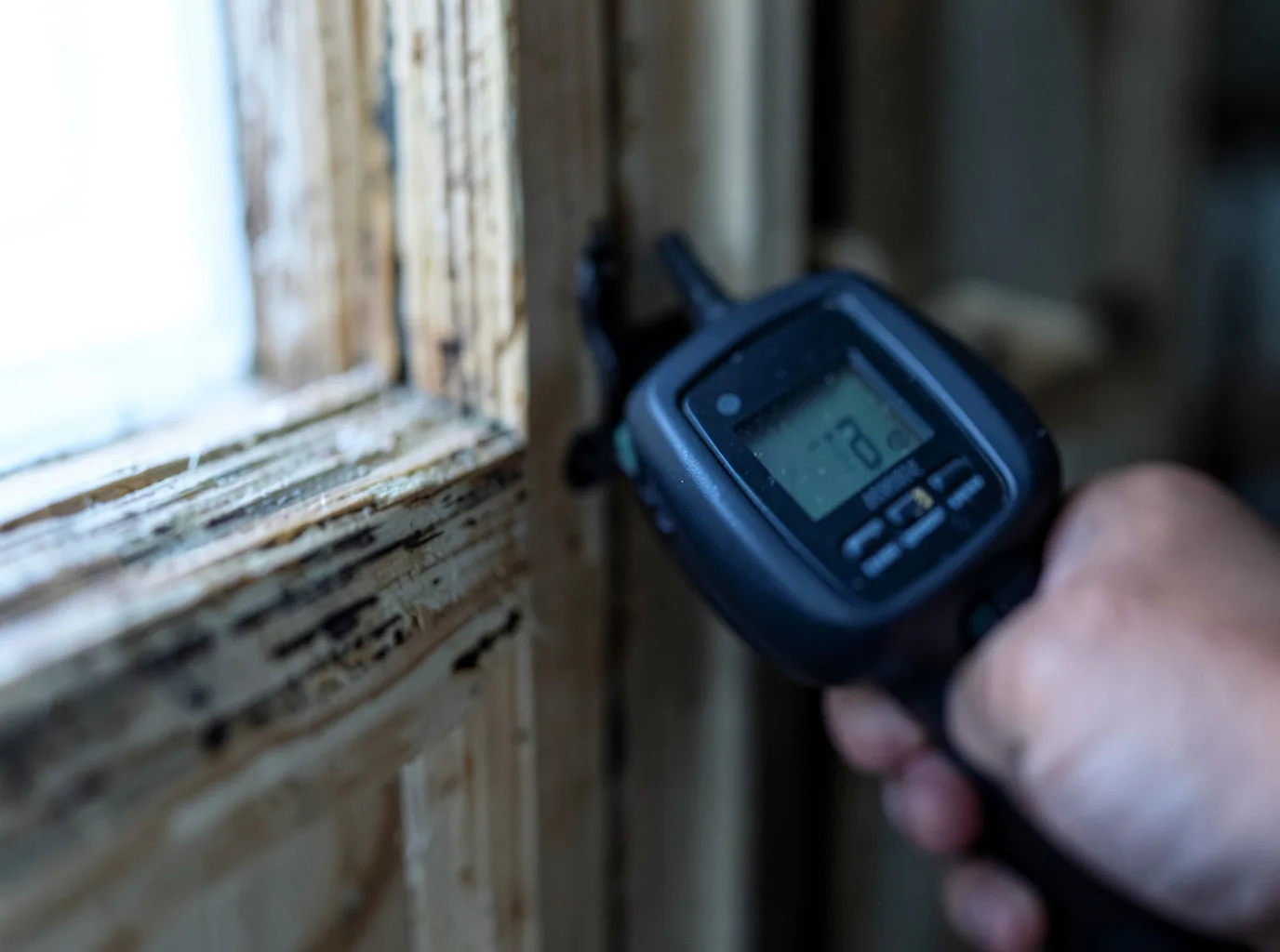 Moisture Inspection And Documentation in Phillipsburg, MO